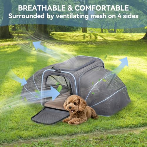 Medium Double Expandable Cat Carrier for Cats and Small Dogs (17.0"L x 11.0"W x 11.0"H / Light Grey)