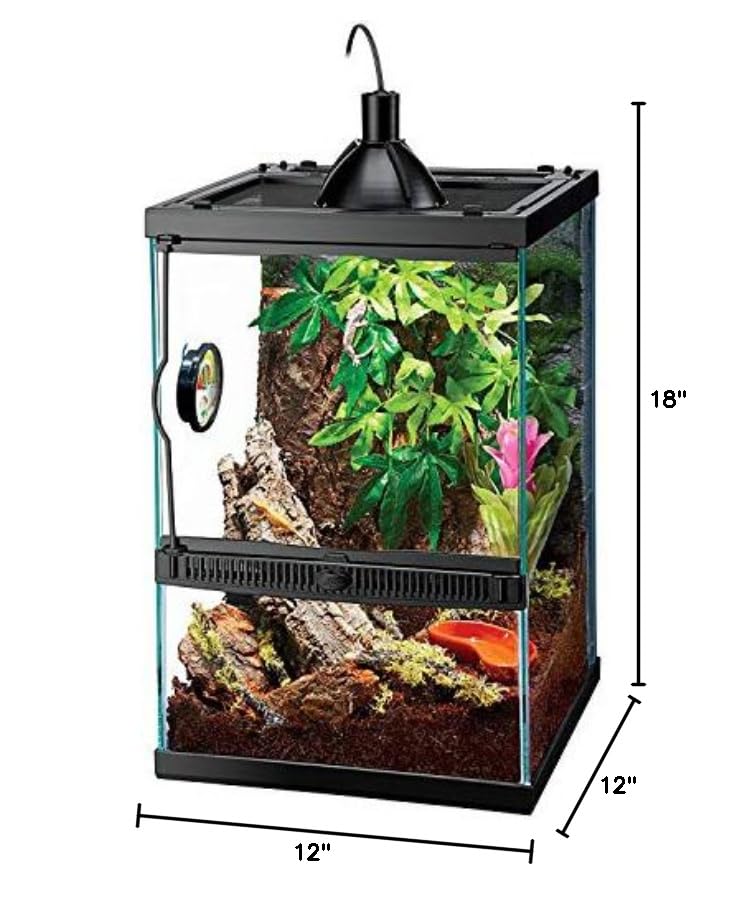 11 Gallon Glass Tropical Vertical Terrarium Kit (Terrarium)