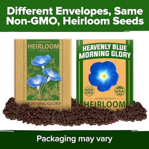 Heavenly Blue Morning Glory Seeds