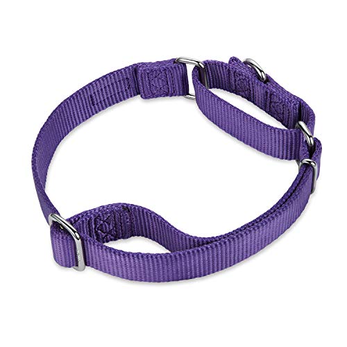 Martingale Dog Collars for Medium Dogs (Medium / Ultra violet)
