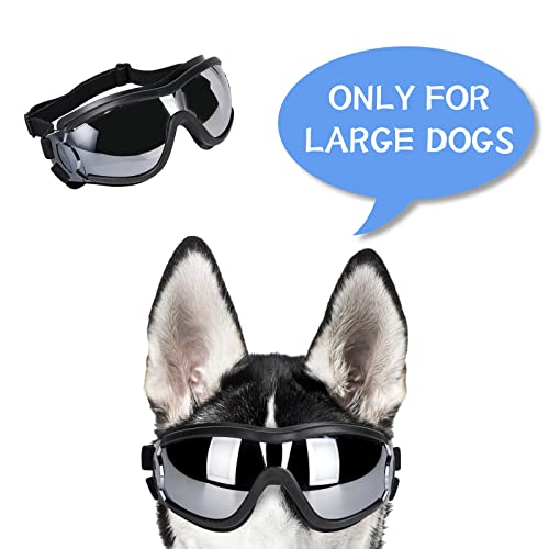 Dog Sunglasses Dog Goggles
