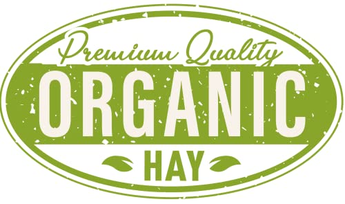 Organic Alfalfa Hay for Small Pets (10 Pound (Pack of 1))