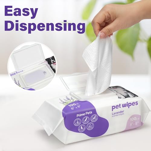 Dog Wipes for Paws and Butt (100 Count (Pack of 1))