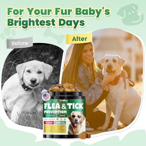 Flea and Tick Prevention for Dogs