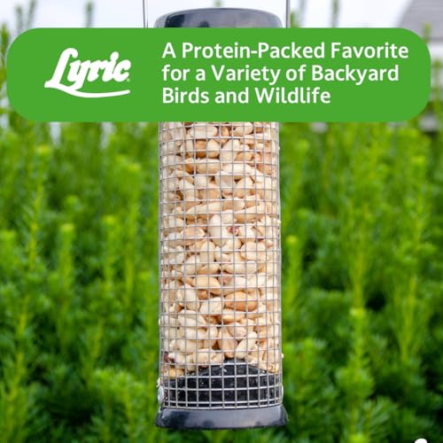 Peanut Pieces Wild Bird Seed (15 Pound (Pack of 1))