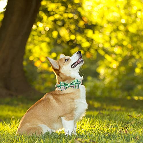 Dog Collar with Bow (Pink&Green / Small (Pack of 1))