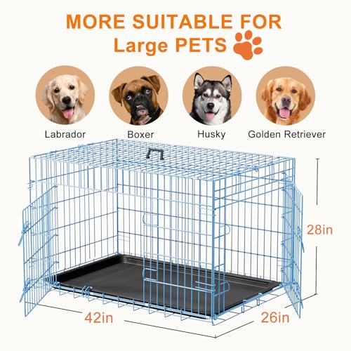 42" Foldable Metal Dog Crate (Blue)