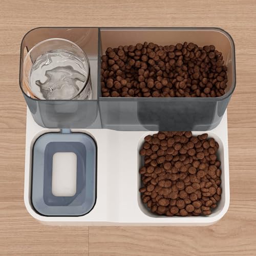 Cat Bowls for Indoor