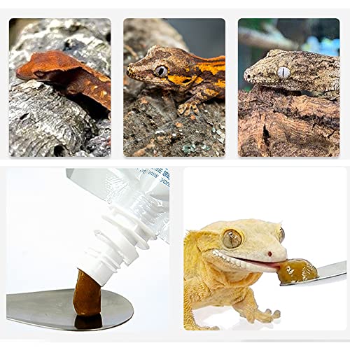 2Pcs Crested Gecko Feeding Spoon (0.5 Ounce (Pack of 2))