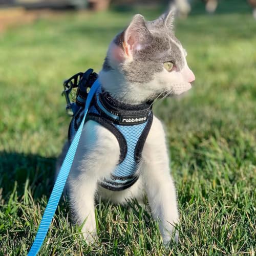 Cat Harness and Leash Set (XL / Light Blue)