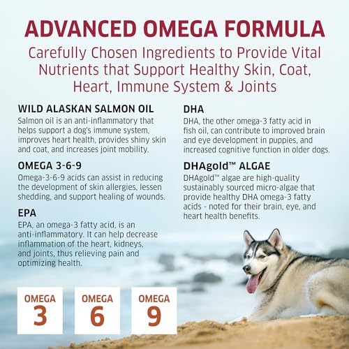 Salmon Oil for Dogs