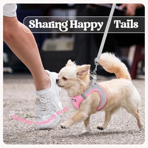 Dog Harness Medium Sized and Leash Set (Light Pink & Gray / M (chest: 16 - 18.5"))