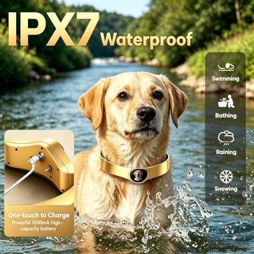 GPS Wireless Dog Fence (Silver)