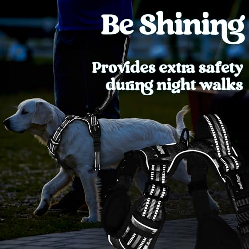 Dog Harness Medium Sized (Mountain Black / Medium)