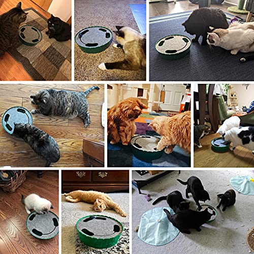 Interactive Cat Toy with Running Mouse (C-Blue)