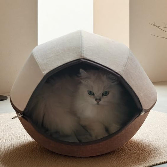 Donut Cat Tunnel Bed Peekaboo Cat Cave for Large Cats Up to 30 Lbs, Kitty Interactive Playing Tent House for Multiple Cats,Detachable,Scratch Resistant (2 in 1 Brown, Medium - 20 Inch Diameter) - Pet Explorer