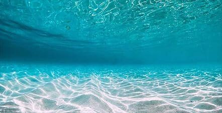 36X18IN Natural Undersea Aquarium Background, Undersea Beach Fish Tank Background, with 8 EVA Double-Sided Tape - Pet Explorer