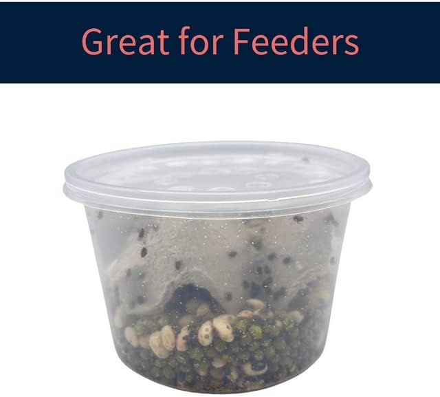16 oz Deli Cup and Fabric Vented Insect Feeder lids by Snout & Shell - Pack of 10 Cups and lids - Pet Explorer