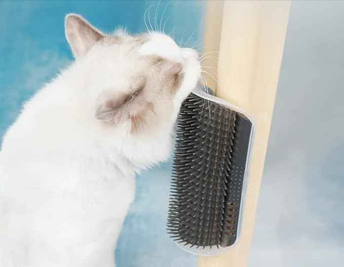 6 Pack Cat Self Groomer with Catnip Pouch Wall Corner Groomers Cat Face Scratcher Pet Grooming Brush Massage Combs for Short Long Haired Cats Fur Pets Dog Kitten Puppy