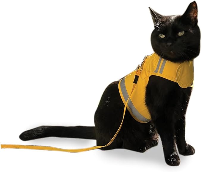 CAT SCHOOL Cat Harness and Leash Set for Outdoor Walks, Training, and Travel, Secure, Soft, Comfortable Cat Vest Harness with 10' Long Cat Leash, Easy to Use (Yellow, XS)