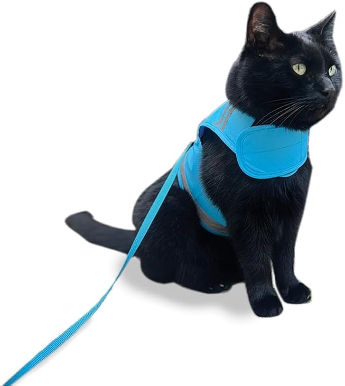 CAT SCHOOL Cat Harness and Leash Set for Outdoor Walks, Training, and Travel - Secure, Soft, Comfortable Cat Vest Harness with 10' Long Cat Leash - Easy to Use with Step-by-Step Instructions