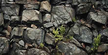 36X24IN Stone Aquarium Background, Rock Fish Tank Background, Natural Rocky Glass Terrarium Background with 8 EVA Double-Sided Tape