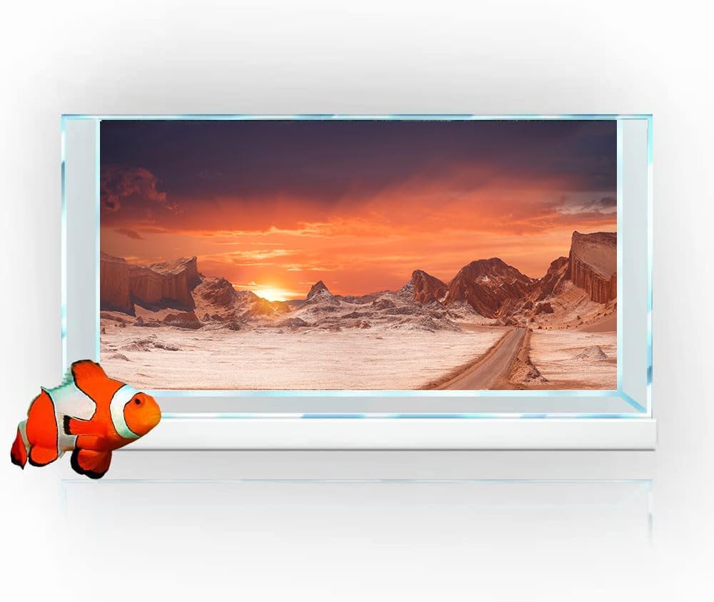36X20IN Sun and Desert Moon Themed Reptile Habitat on Orange Durable Decorative Background, Terrarium Background with 10EVA Double-Sided Tape - Pet Explorer