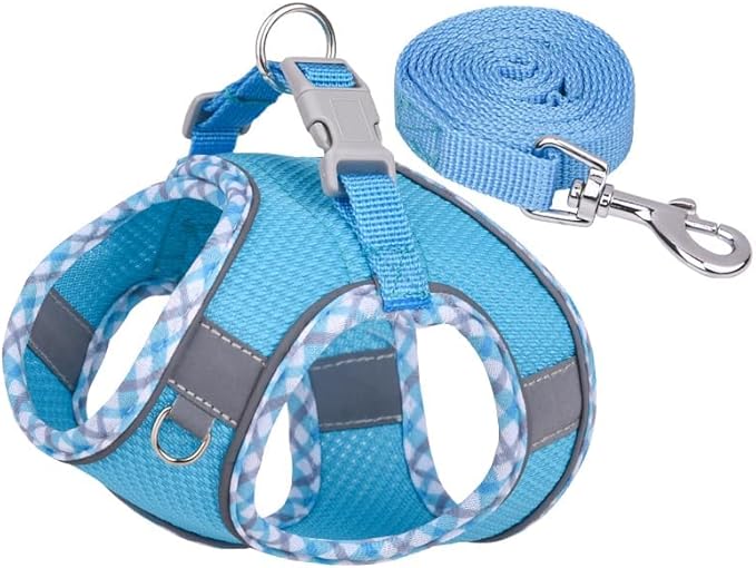 Dog Harness and Leash Set, No Pull Adjustable Reflective Pet Harness for Small Medium Dogs, Step in Vest Harness Easy Walk Dog Harness Outdoor Hiking Training for Small Dogs, Cats(Blue, XS)