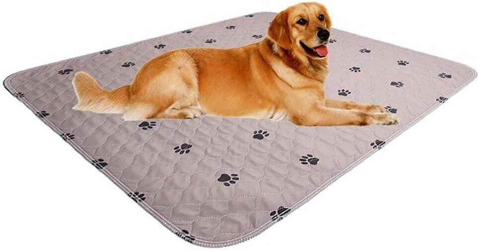 Washable Dog Pee Pads 72"X96",Puppy Pads,Reusable Pet Training Pads,Waterproof Pet Pads for Dog Bed Mat,Super Absorbing Whelping Pads - Pet Explorer