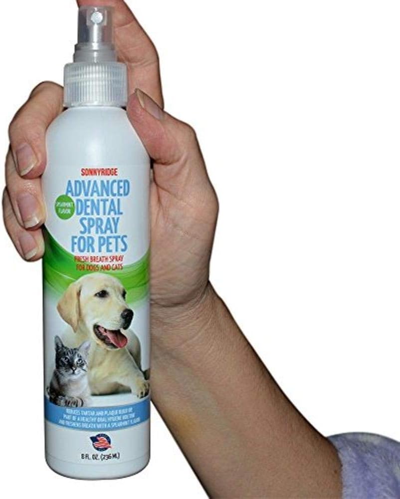 Dog Dental Spray Removes Tartar, Plaque and Freshens Breath Instantly. The Most Advanced Dental Spray for Healthy Teeth, Gums and Oral Health Care for Your Dog, Cat or Pet - 1-8 oz. Bottle - Pet Explorer