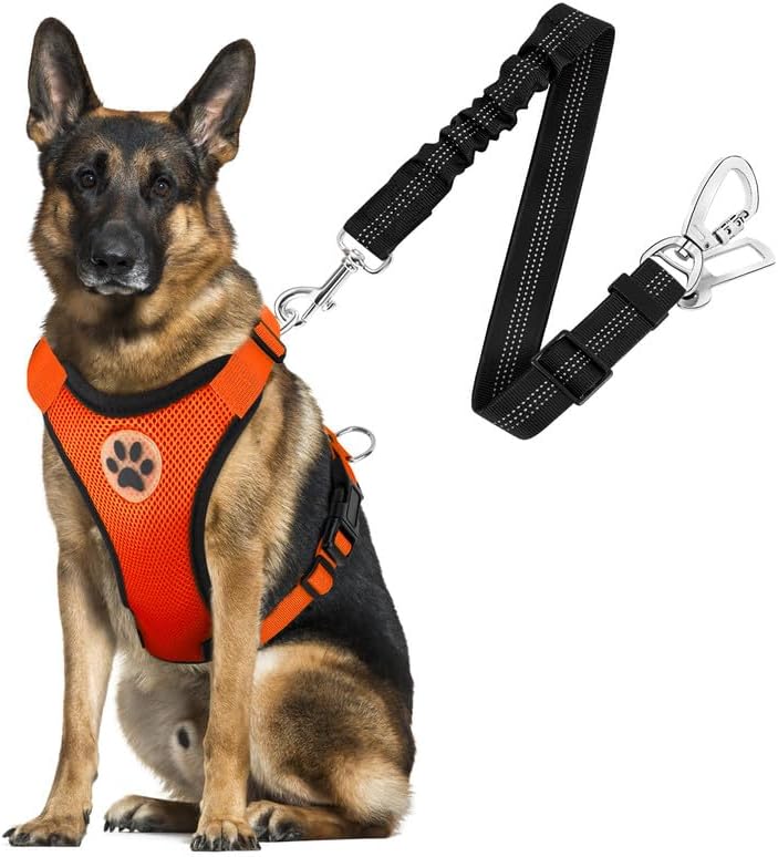 SlowTon Dog Seat Belt Harness for Car, Dog Car Harness Adjustable Mesh Breathable & Dog Seatbelt Safety Tether with Elastic Bungee for Small Medium Large Pets(Orange, Double Clip, L) - Pet Explorer