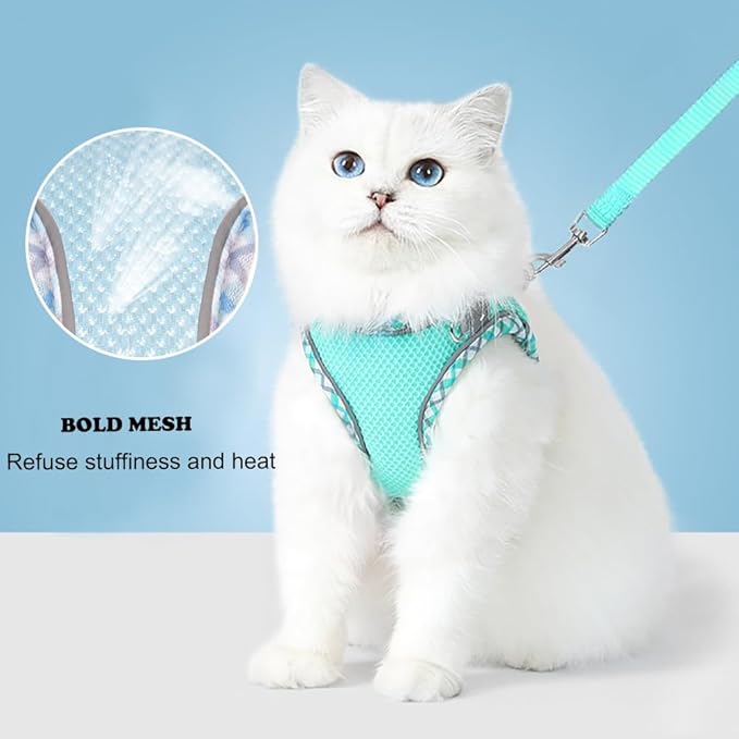 Dog Harness and Leash Set, No Pull Adjustable Reflective Pet Harness, Step in Vest Harness Easy Walk Dog Harness Outdoor Hiking Training for Small Medium Dogs, Cats(Purple, M)