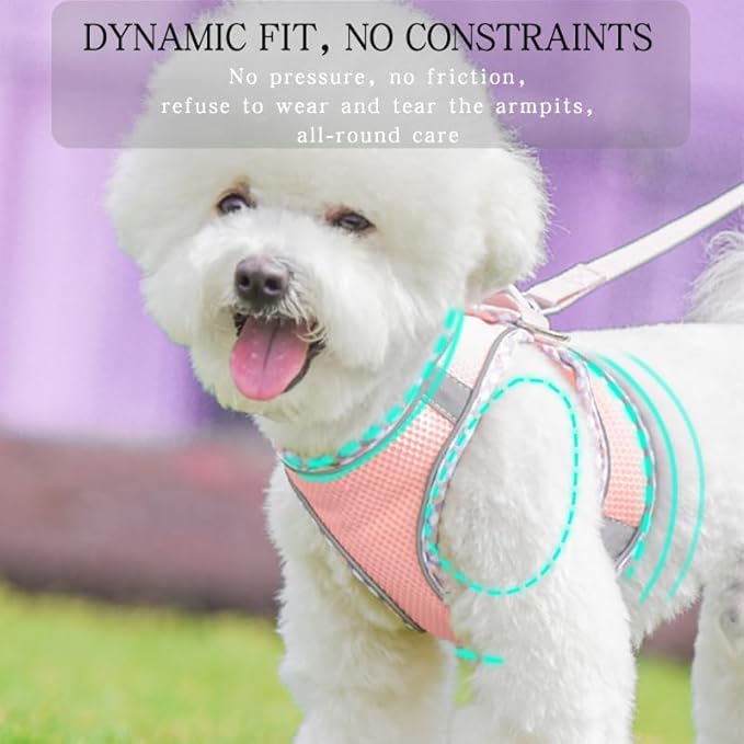 Dog Harness and Leash Set, No Pull Adjustable Reflective Pet Harness, Mesh Step in Vest Harness Easy Walk Dog Harness Outdoor Hiking Training for Small Medium Dogs, Cats(Pink, M)