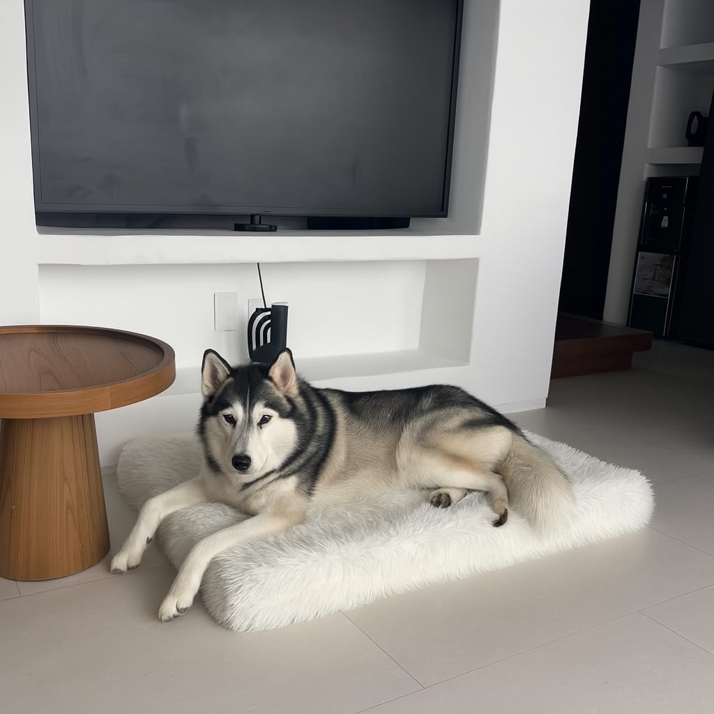 IHAPPYDOG Luxury Faux Fur Orthopedic Dog Beds, Memory Foam Crate Bed for Small, Medium, Large and XL Pets, Fluffy Pet Bed with Waterproof and Washable Cover, Fits Crates (White, 41"x27") - Pet Explorer