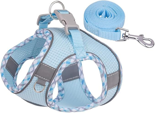 Dog Harness and Leash Set, No Pull Adjustable Reflective Pet Harness for Small Medium Dogs, Easy Walk Step in Vest Harness Outdoor Hiking Training for Extra Small Dogs, Puppy, Cats(LightBlue,XXS)