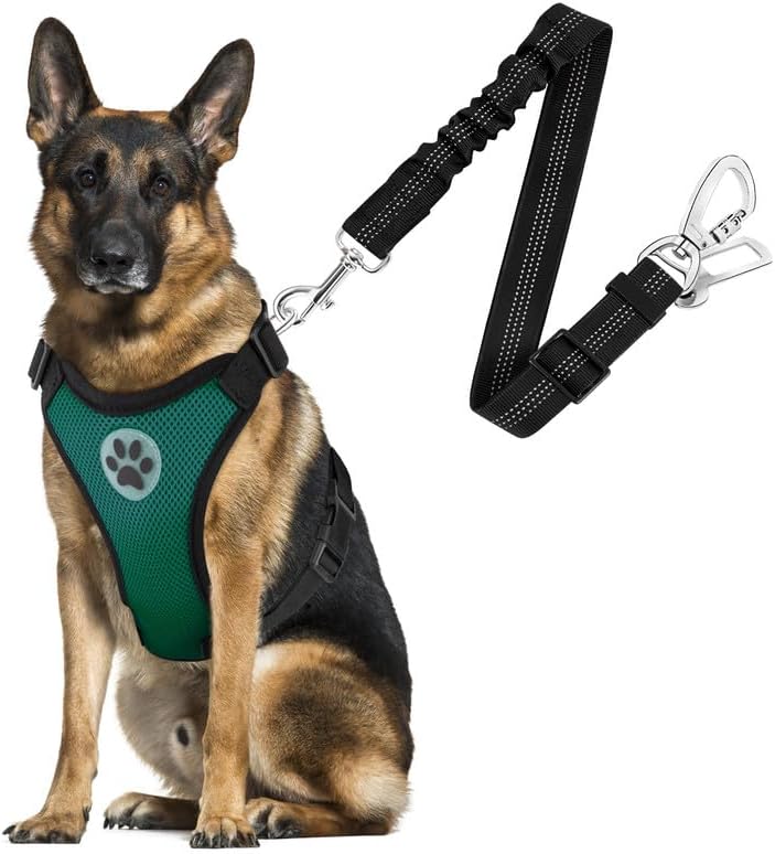 SlowTon Dog Seat Belt Harness for Car, Dog Car Harness Adjustable Mesh Breathable & Dog Seatbelt Safety Tether with Elastic Bungee for Small Medium Large Pets(Green, Double Clip, L) - Pet Explorer