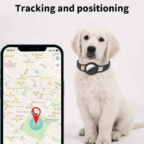 SaharaCase Silicone Dog Collar for Apple AirTag (Small and Medium Dogs) [Shockproof Bumper] Rugged Protection Antislip Grip (Black)
