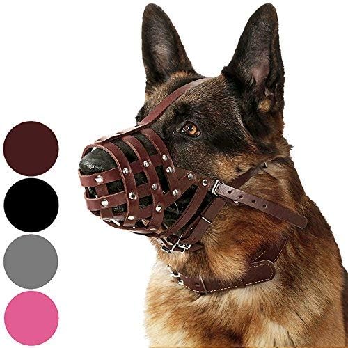 CollarDirect Dog Muzzle German Shepherd Dalmatian Doberman Setter Leather Basket Medium Large Breeds (Chestnut Brown, Large) - Pet Explorer
