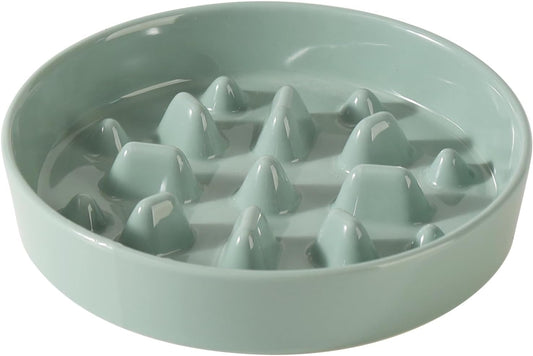 Ceramic 8.2 inch Dog Bowl Slow Feeder, Slow Pet Food Dish for Medium and Large Dog, Stop Bloat, Preventing Choking(Single Bowl, Light Green) - Pet Explorer