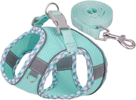 Dog Harness and Leash Set, No Pull Adjustable Reflective Pet Harness for Small Medium Dogs, Step in Vest Harness Easy Walk Dog Harness Outdoor Hiking Training for Small Medium Dogs, Cats(Green, S)