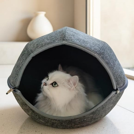 Donut Cat Tunnel Bed Peekaboo Cat Cave for Large Cats Up to 30 Lbs, Kitty Interactive Playing Tent House for Multiple Cats,Detachable,Scratch Resistant (2 in 1 Black, Medium - 20 Inch Diameter) - Pet Explorer