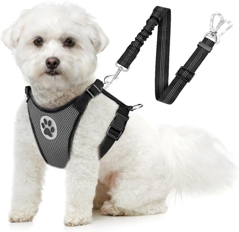 SlowTon Dog Seat Belt Harness for Car, Dog Car Harness Adjustable Mesh Breathable & Dog Seatbelt Safety Tether with Elastic Bungee for Small Medium Large Pets(Grey, Double Clip, XXXS) - Pet Explorer