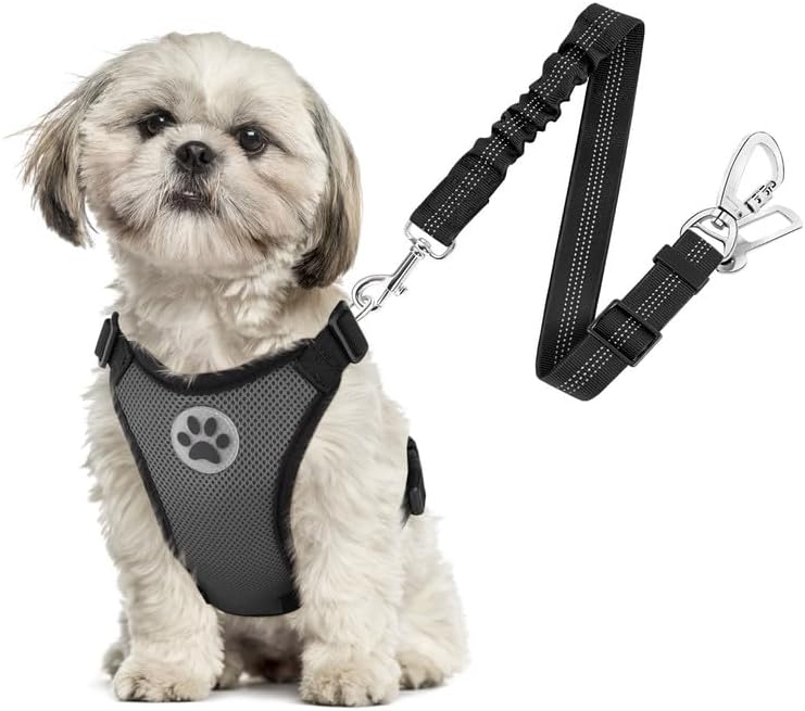 SlowTon Dog Seat Belt Harness for Car, Dog Car Harness Adjustable Mesh Breathable & Dog Seatbelt Safety Tether with Elastic Bungee for Small Medium Large Pets(Grey, Double Clip, XS) - Pet Explorer