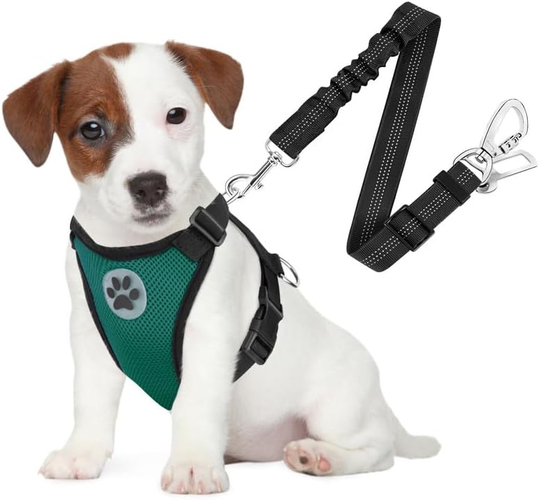 SlowTon Dog Seat Belt Harness for Car, Dog Car Harness Adjustable Mesh Breathable & Dog Seatbelt Safety Tether with Elastic Bungee for Small Medium Large Pets(Green, Double Clip, S) - Pet Explorer