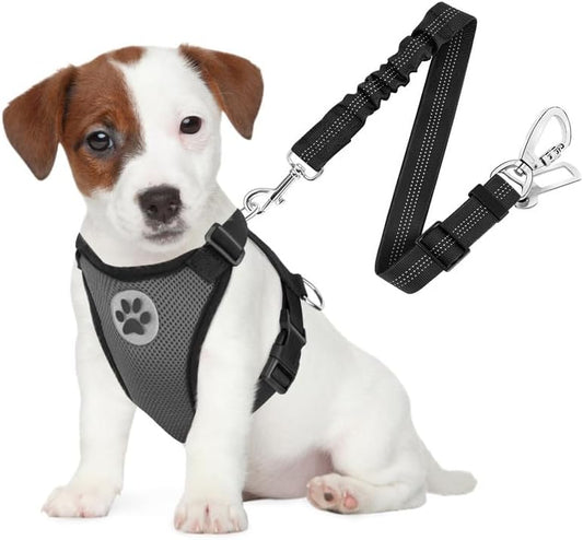 SlowTon Dog Seat Belt Harness for Car, Dog Car Harness Adjustable Mesh Breathable & Dog Seatbelt Safety Tether with Elastic Bungee for Small Medium Large Pets(Grey, Double Clip, S) - Pet Explorer