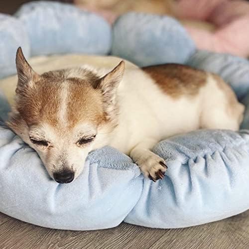 TONBO Soft Plush Small Cute and Cozy Nature Dog Cat Bed, Washer and Dryer Friendly (Blue Flower) - Pet Explorer