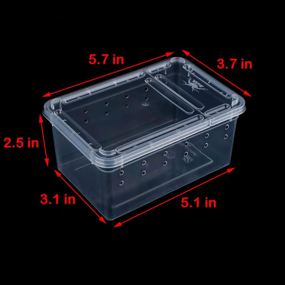 5 Pcs Spider Small Terrariums Breeding Box Transparent Hatching Container Plastic Feeding Box for Small Reptile Spider Scorpion Centipede Insect - Pet Explorer