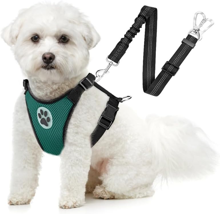 SlowTon Dog Seat Belt Harness for Car, Dog Car Harness Adjustable Mesh Breathable & Dog Seatbelt Safety Tether with Elastic Bungee for Small Medium Large Pets(Green, Double Clip, XXXS) - Pet Explorer