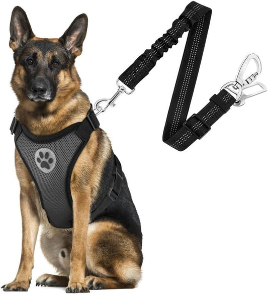 SlowTon Dog Seat Belt Harness for Car, Dog Car Harness Adjustable Mesh Breathable & Dog Seatbelt Safety Tether with Elastic Bungee for Small Medium Large Pets(Grey, Double Clip, L) - Pet Explorer