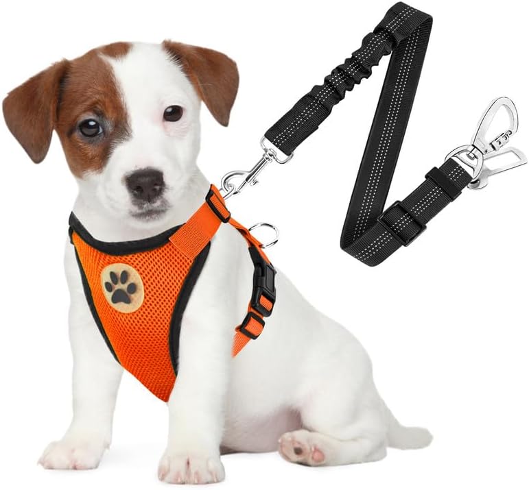 SlowTon Dog Seat Belt Harness for Car, Dog Car Harness Adjustable Mesh Breathable & Dog Seatbelt Safety Tether with Elastic Bungee for Small Medium Large Pets(Orange, Double Clip, S) - Pet Explorer